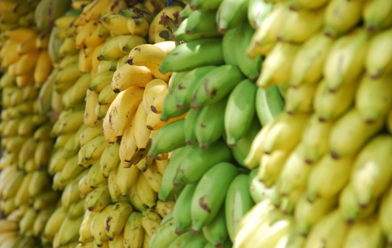 Lead Nurturing: Are You Serving Green Bananas?
