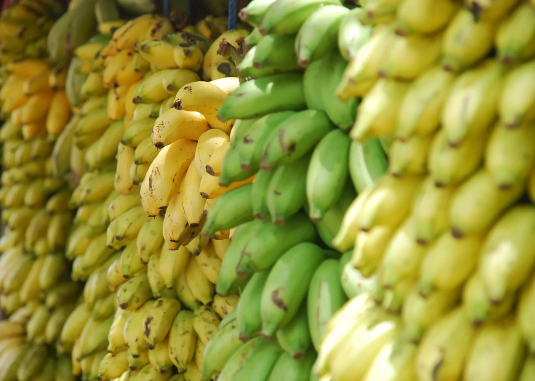 Lead nurturing: are your bananas too ripe?